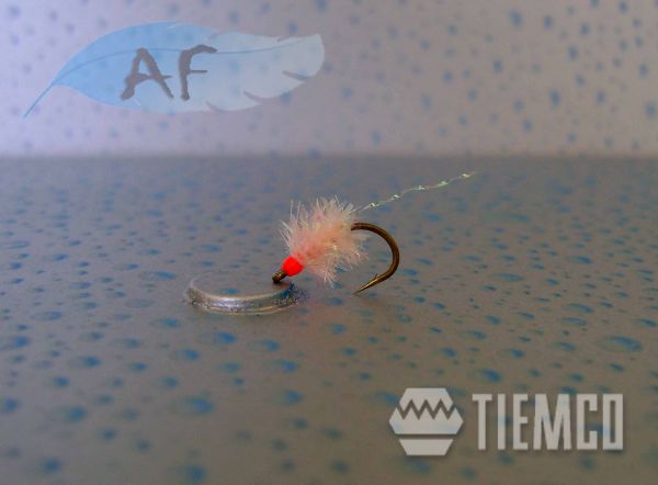 CRYSTAL EGG FLASH TAIL #10 EG0001-10C51