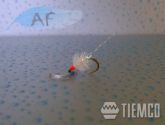CRYSTAL EGG FLASH TAIL #10 EG0001-10C50
